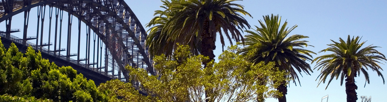 短信轰机轰炸app下载安卓手机